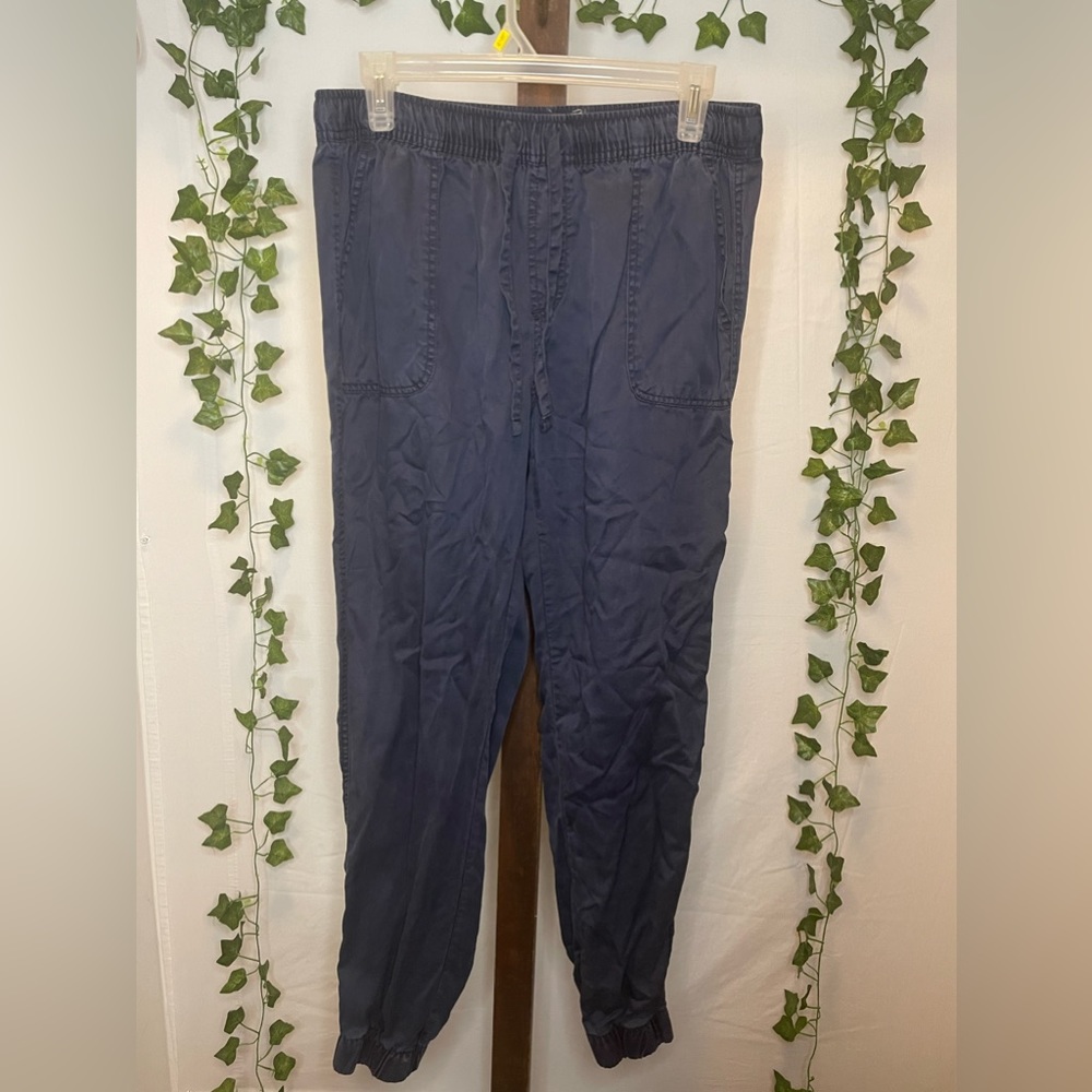 Medium C&C California navy cargo pants